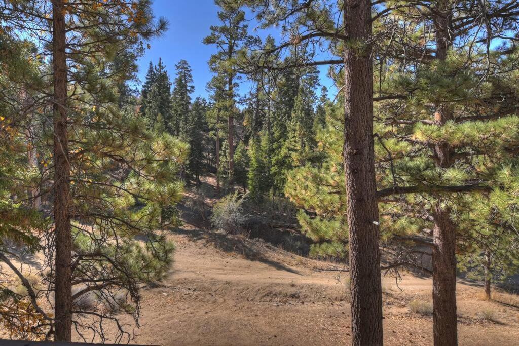 Everwood Serenity Treehouse Ontrail Head/Sledding Villa Big Bear Lake Eksteriør billede