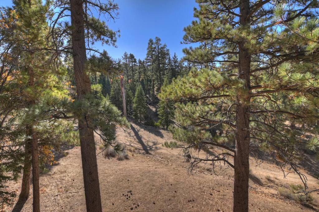 Everwood Serenity Treehouse Ontrail Head/Sledding Villa Big Bear Lake Eksteriør billede